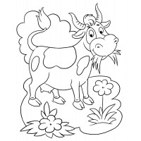 Раскраски корова 🎨 распечатать бесплатно для детей