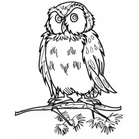 Мудрый филин