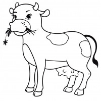 Корова жует травку