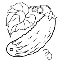 Огурец с листом