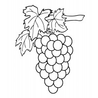Большая виноградная гроздь