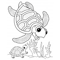 Морская черепаха плывет