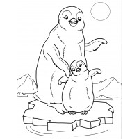 Пингвиненок и его мама