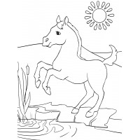 Лошадка на берегу