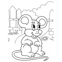 Ушастая мышка