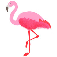 Раскраски Фламинго