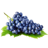 Раскраски виноград