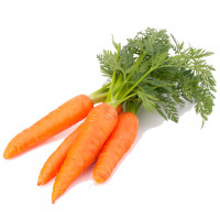 Раскраски Морковь