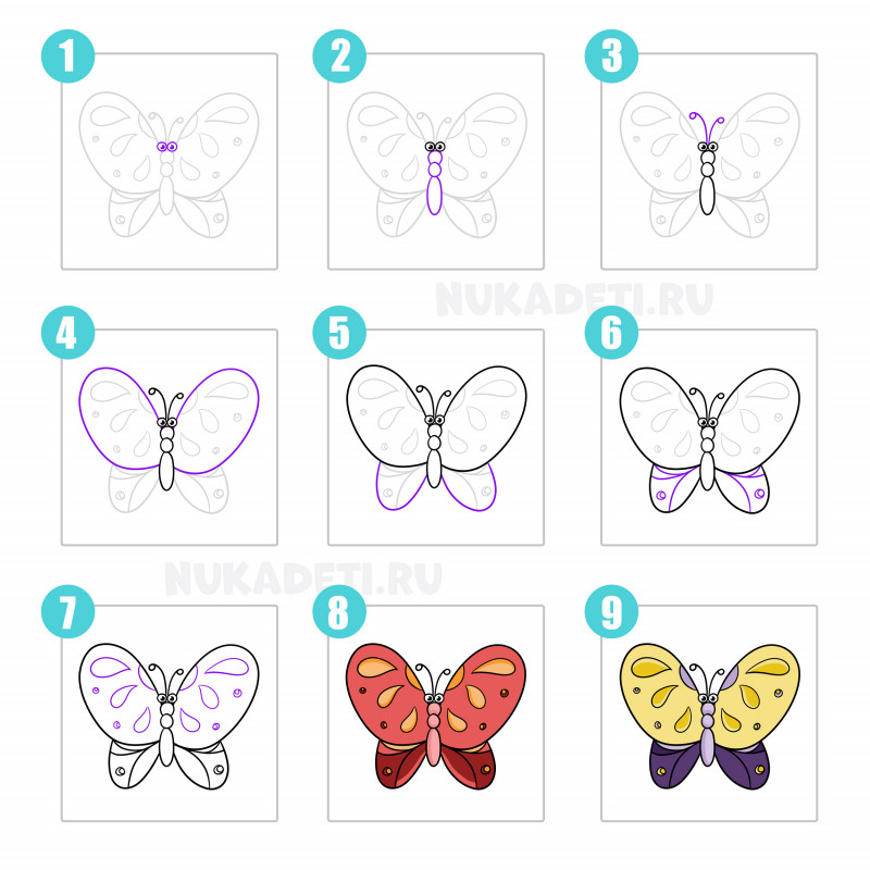 Как нарисовать Бабочку поэтапно в 5 шагов
