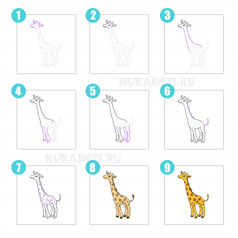 Жираф рисунок для детей простой поэтапно (48 фото)