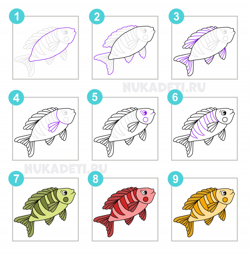 Как нарисовать рыбу | Рисуем поэтапно карандашом