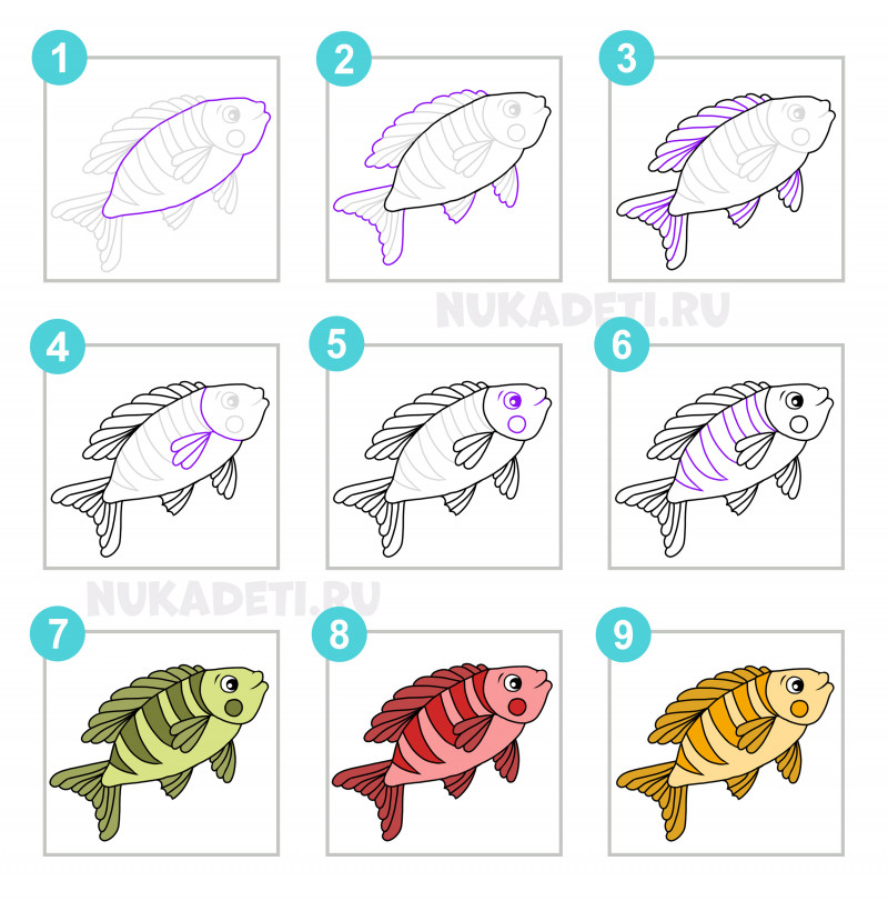 Рыба рисунок для детей поэтапно карандашом