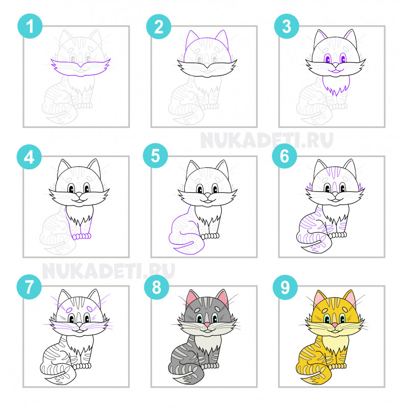 Как нарисовать кошку - поэтапная инструкция для начинающих