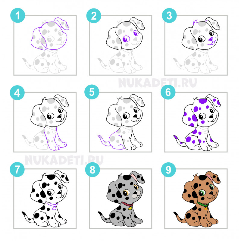Как нарисовать собаку - поэтапная инструкция для начинающих