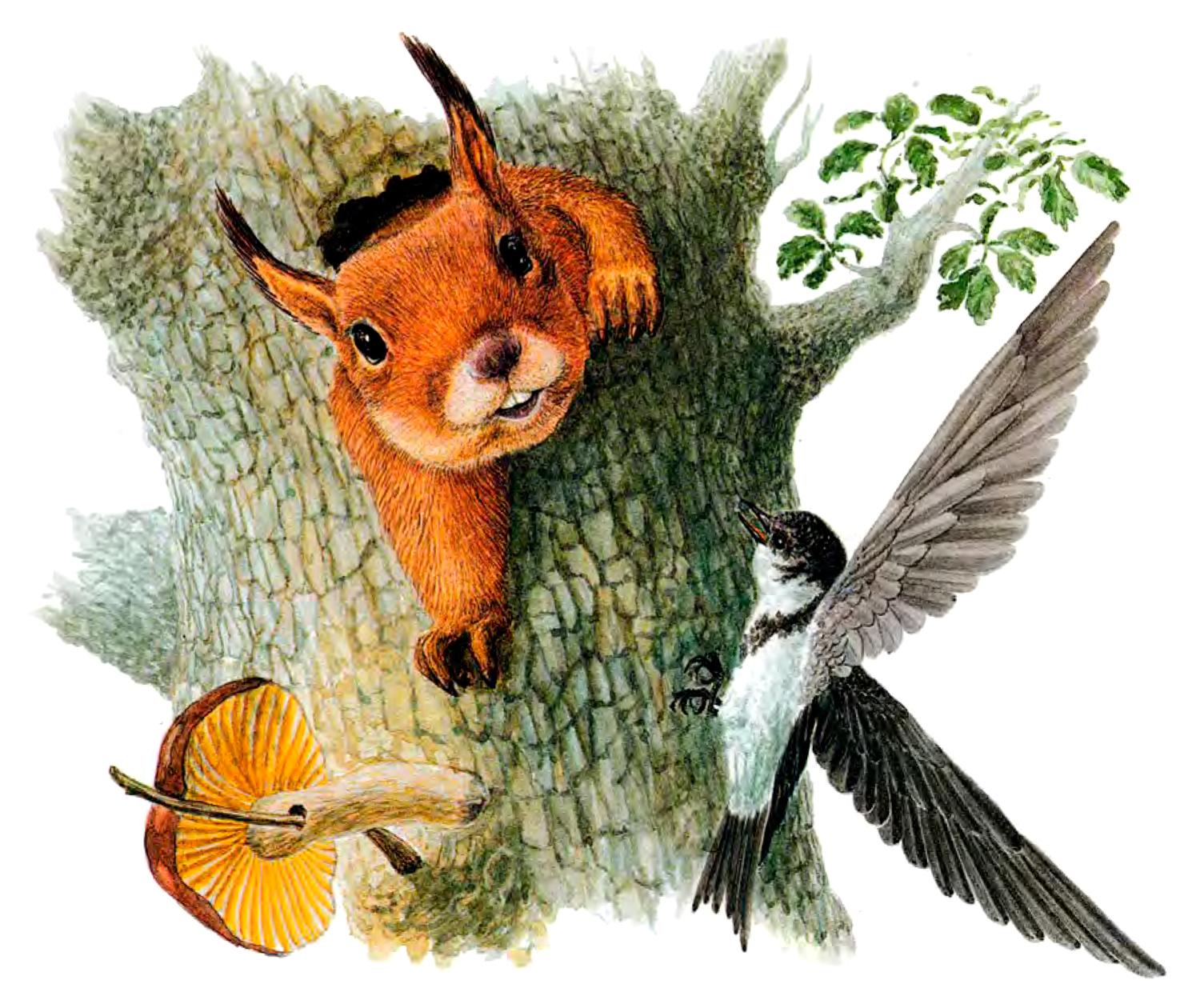 Белка и птичка на дереве