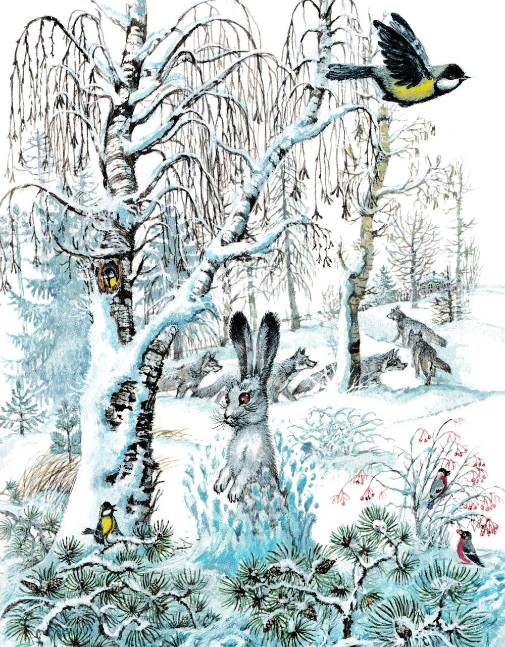 Заяц в зимнем лесу