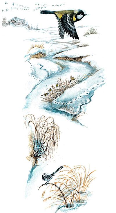 Синичка летит над ручьем