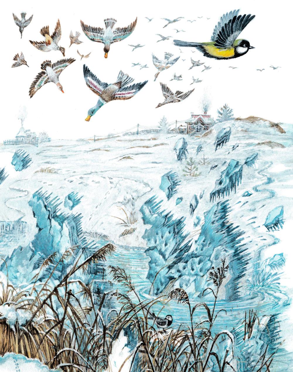 Синичка над рекой