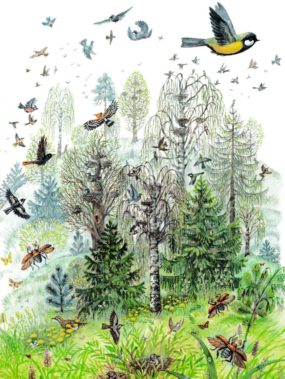 Птицы летают в лесу