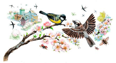 Синичка и воробей