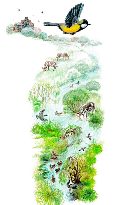 Синичка летит