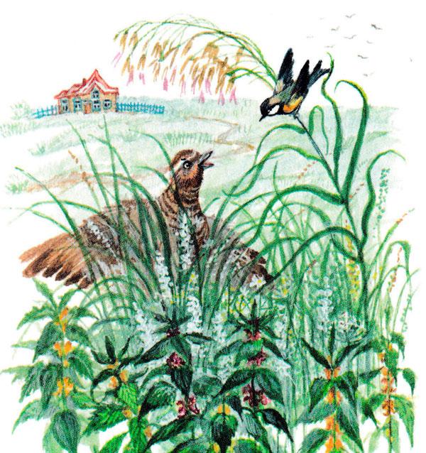 Синичка и куропатка