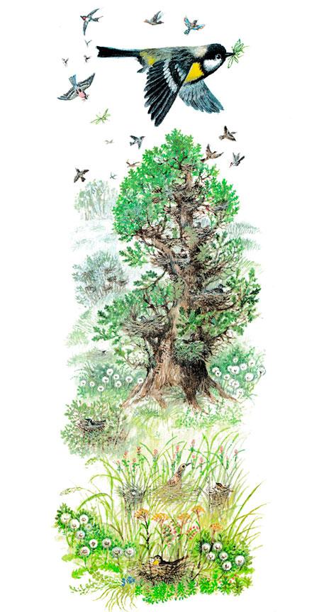 Синичка летит над лесом