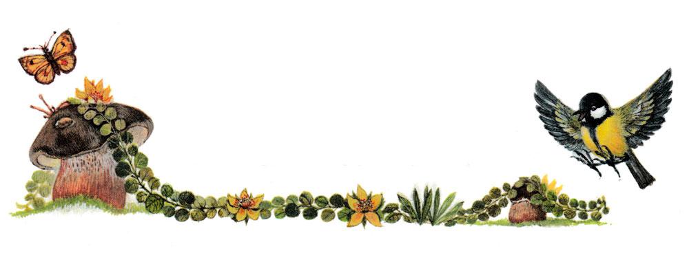 Гриб и птичка