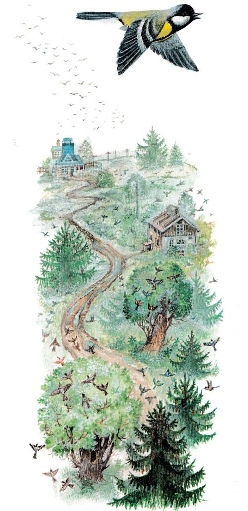 Синичка летит над лесом