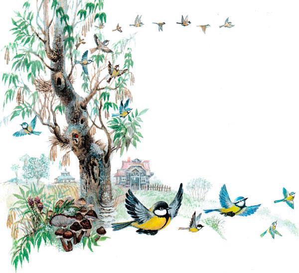 Птички покидают гнезда