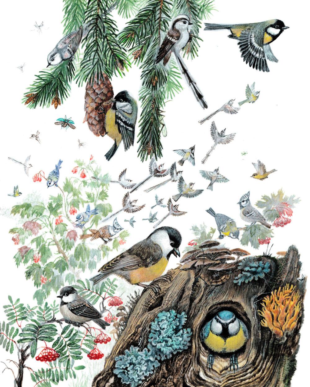 Синички на дереве