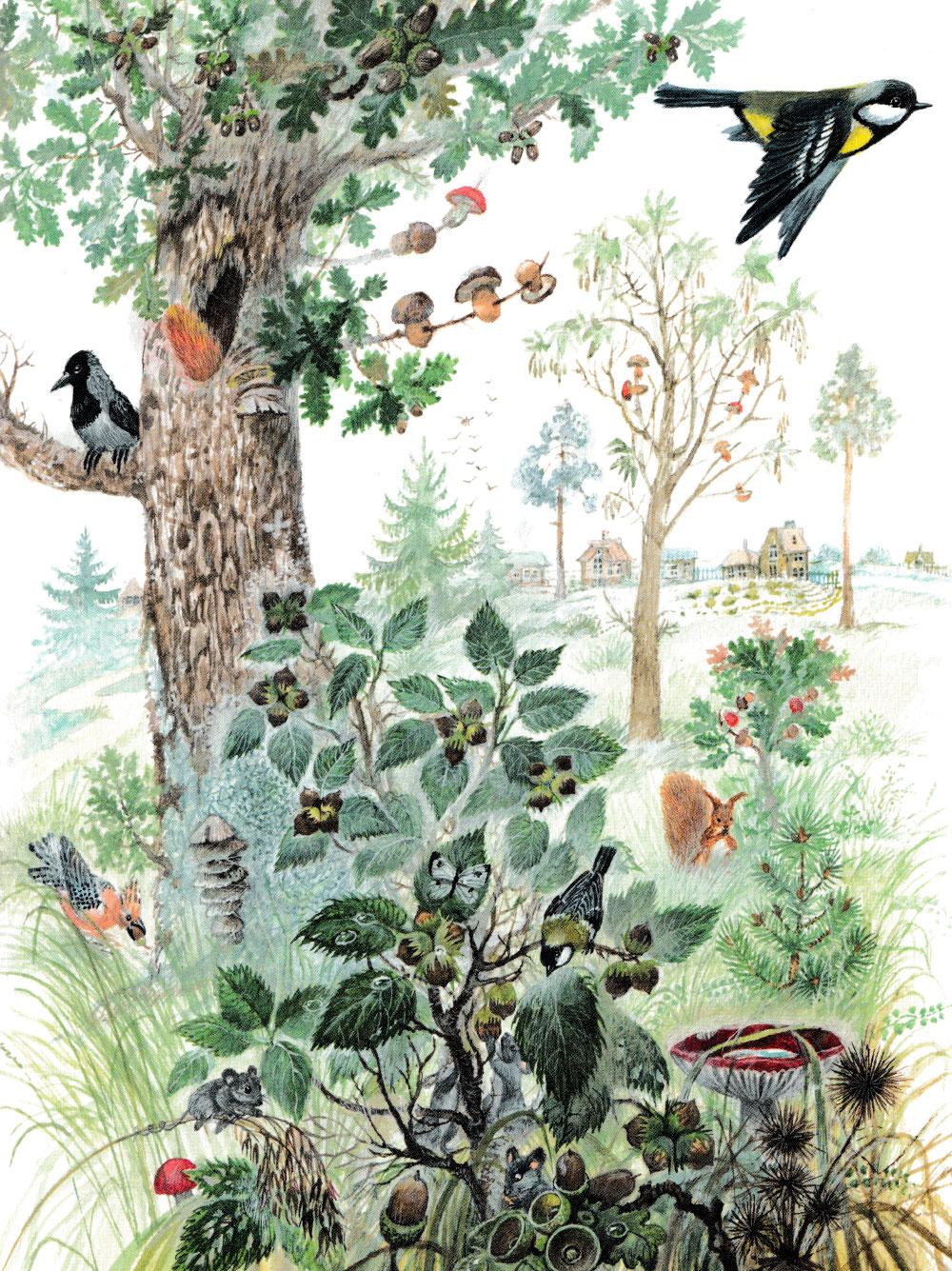 Дерево в лесу