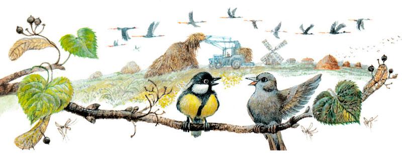 Синичка и соловей