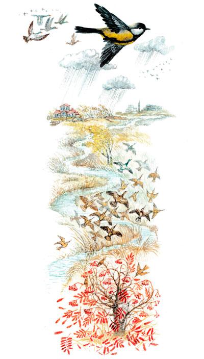 Птичка летит над полями