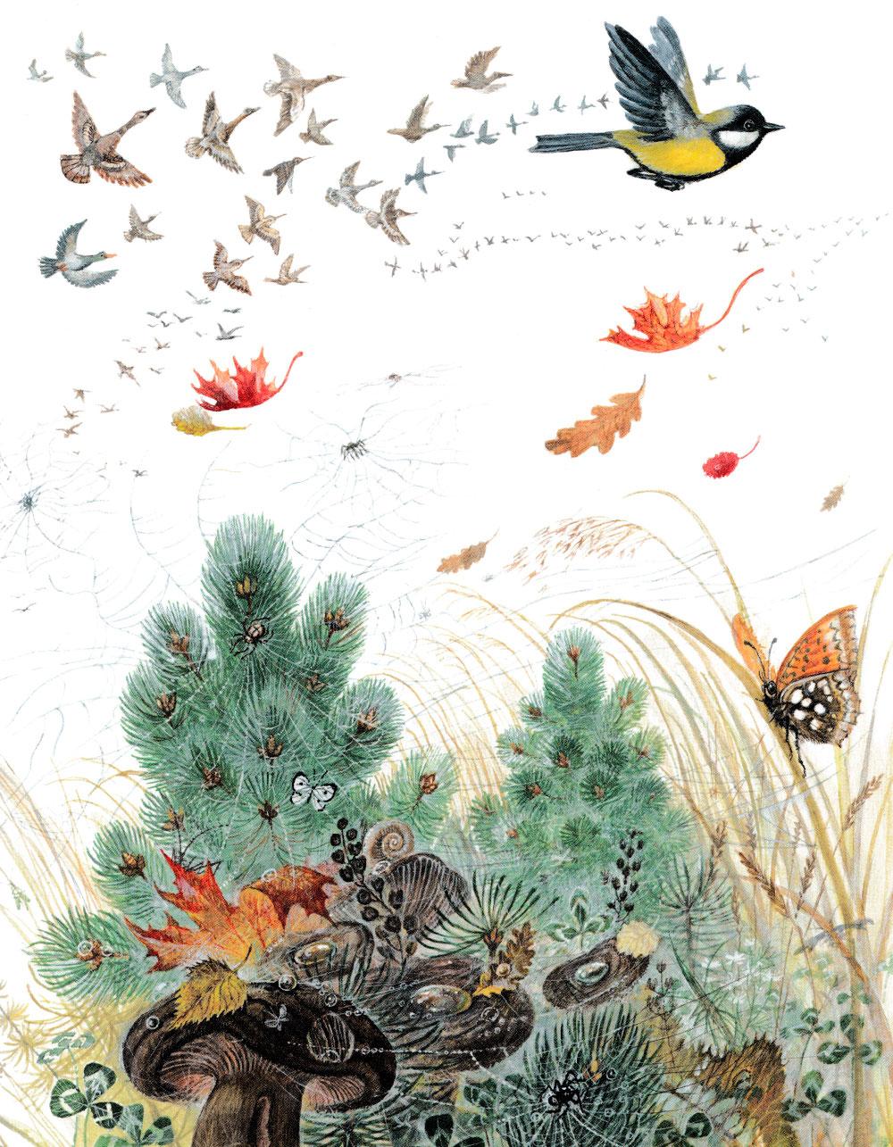 Птицы летят над лесом