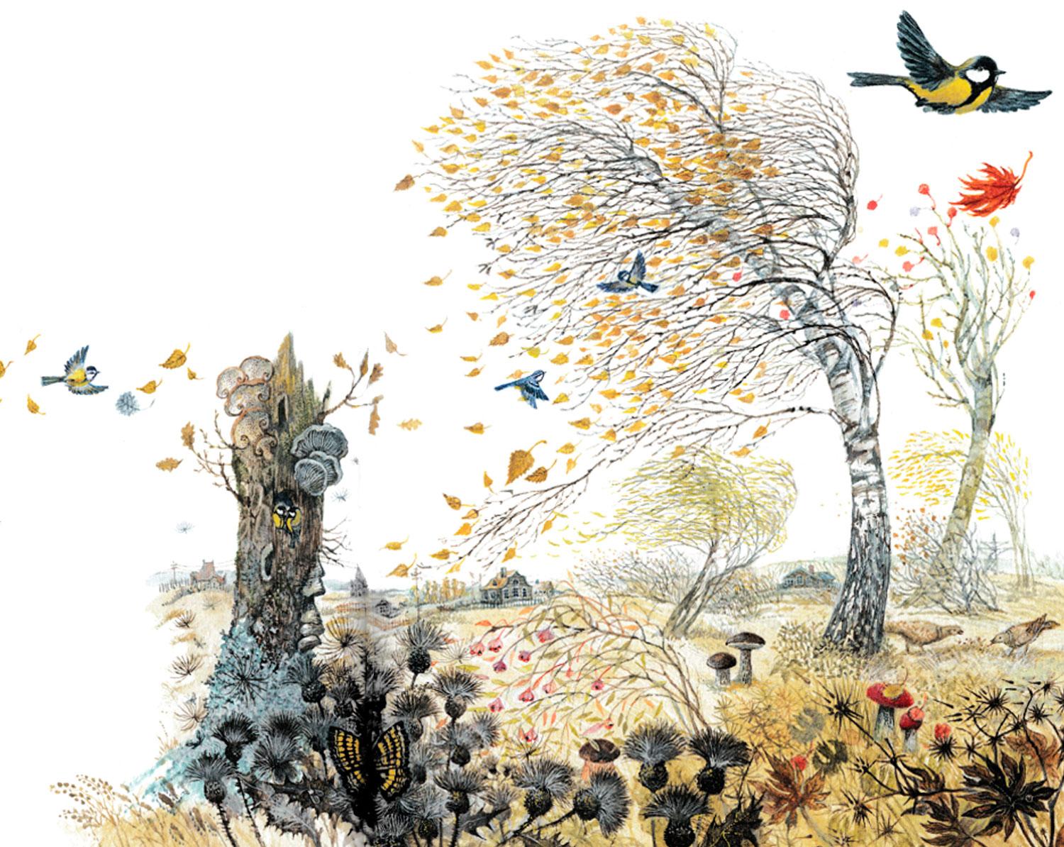 Осенний лес