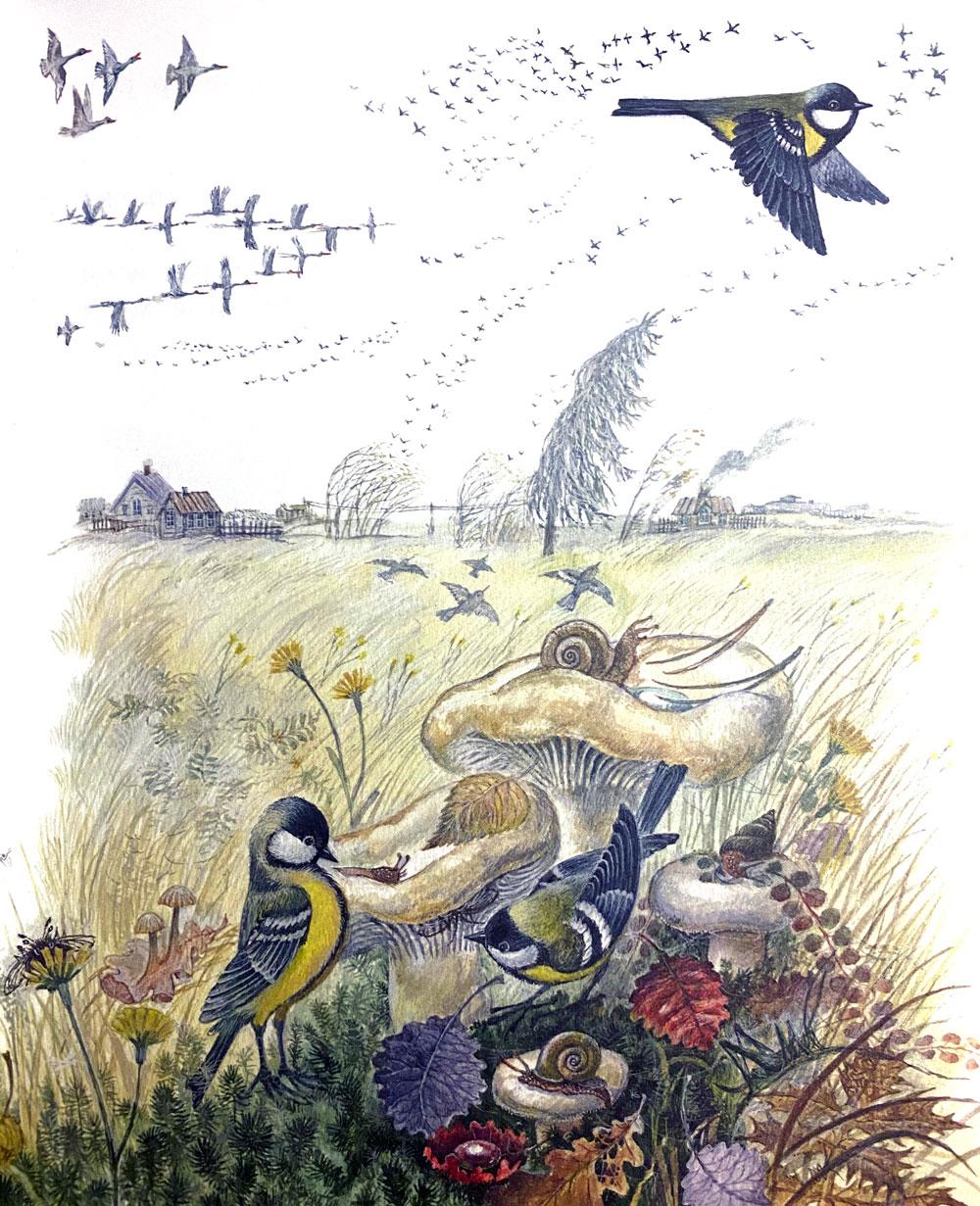 Синички и грибы