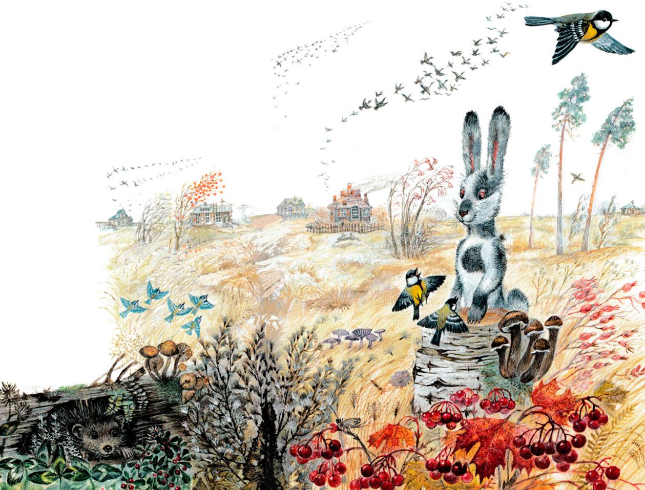 Заяц и синички