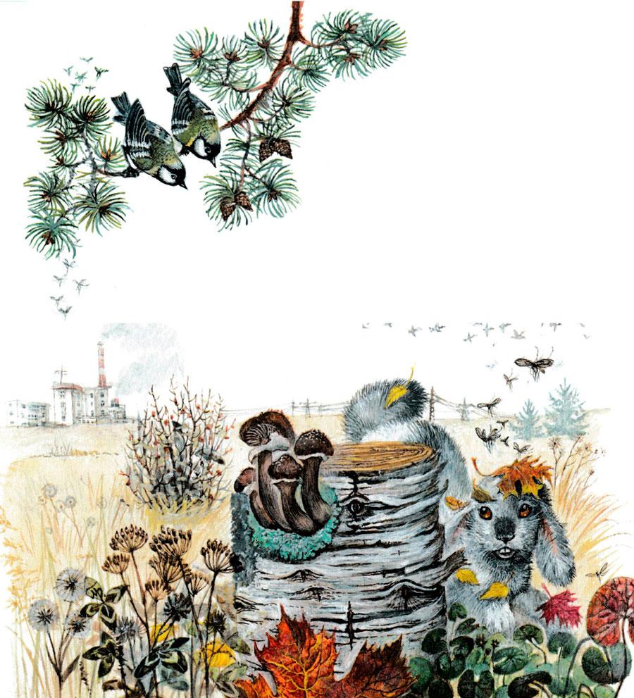 Заяц прячется за пеньком