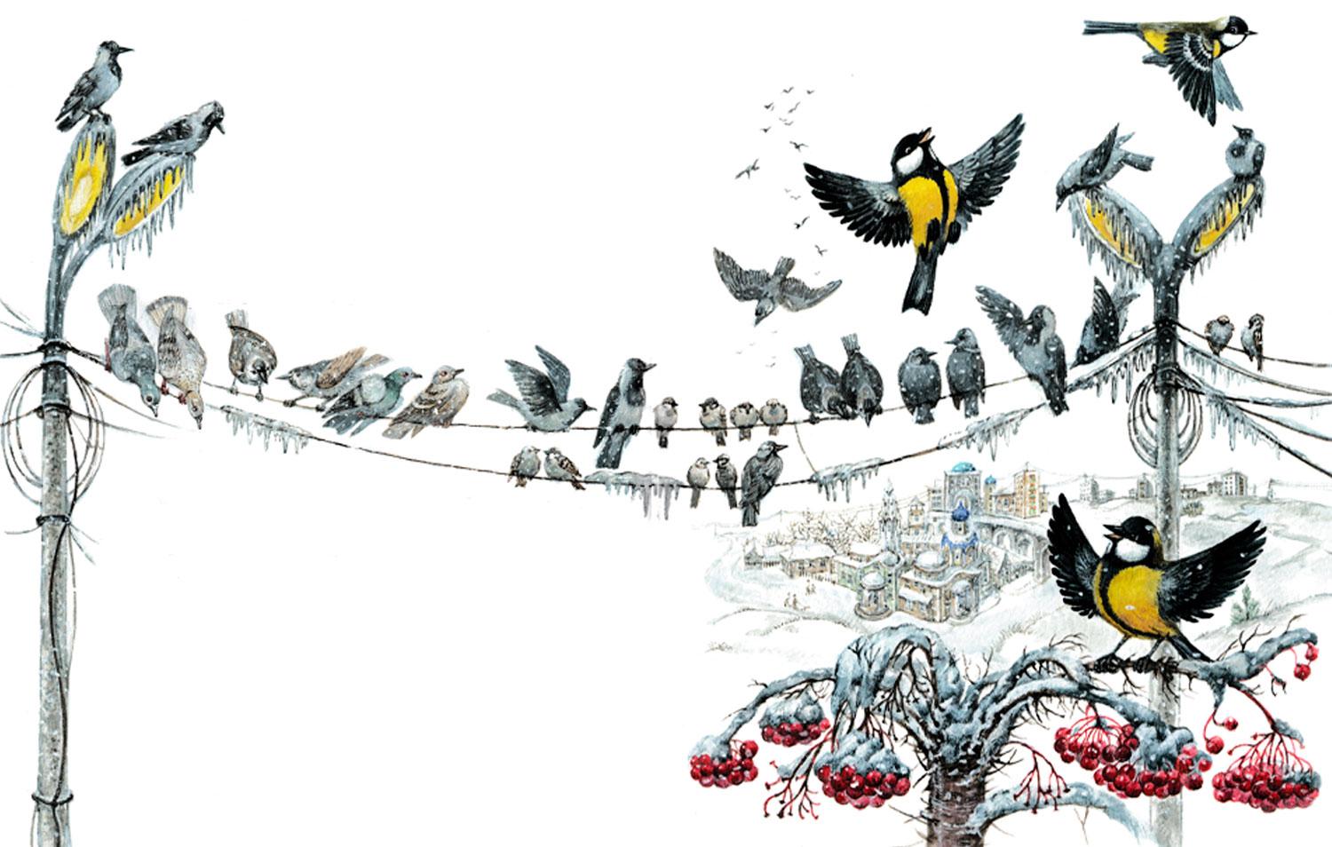 Птицы на проводах