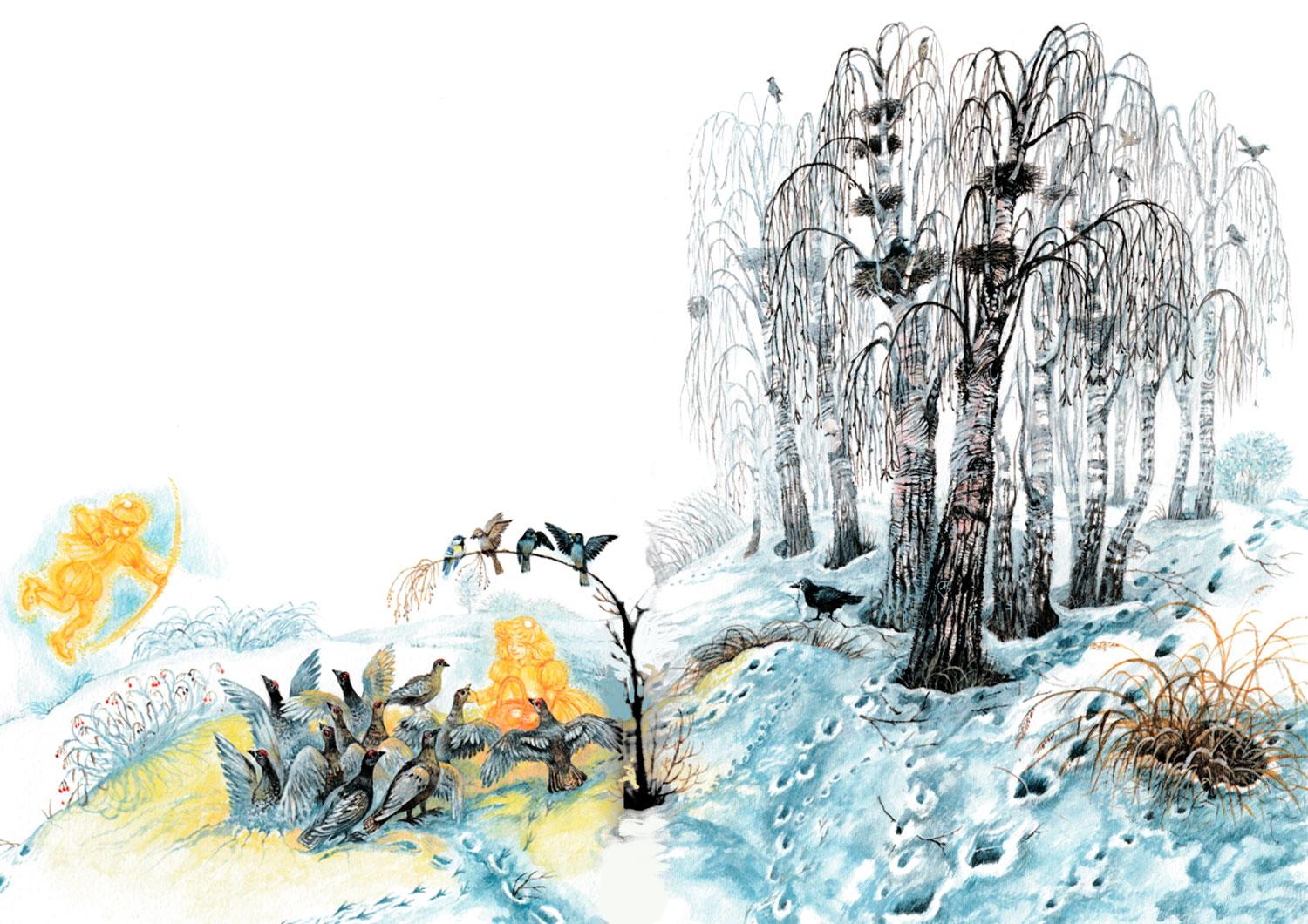 Куропатки на снегу