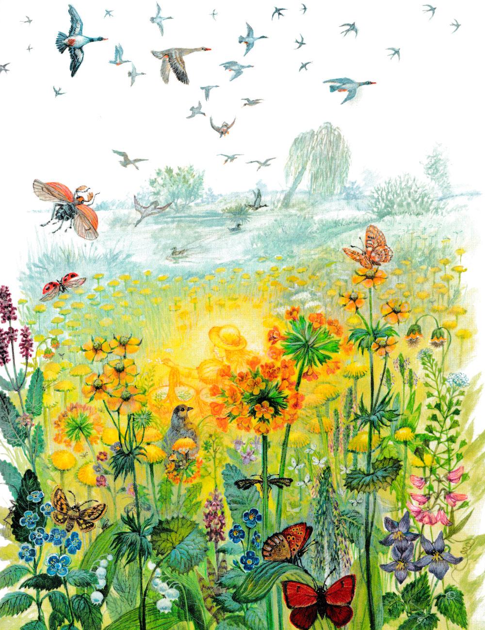 Зоя собирает травы на лугу