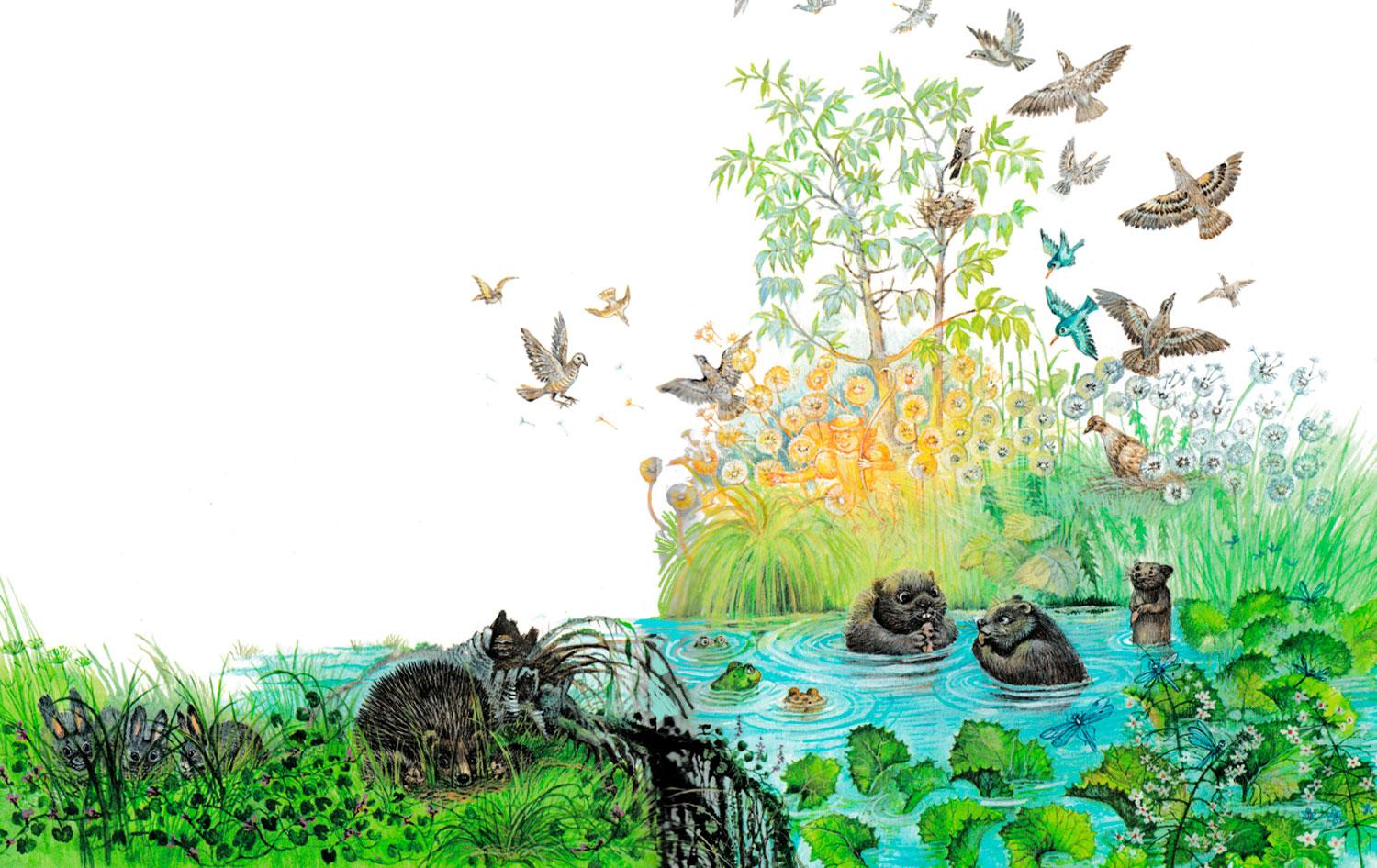 Животные в лесу