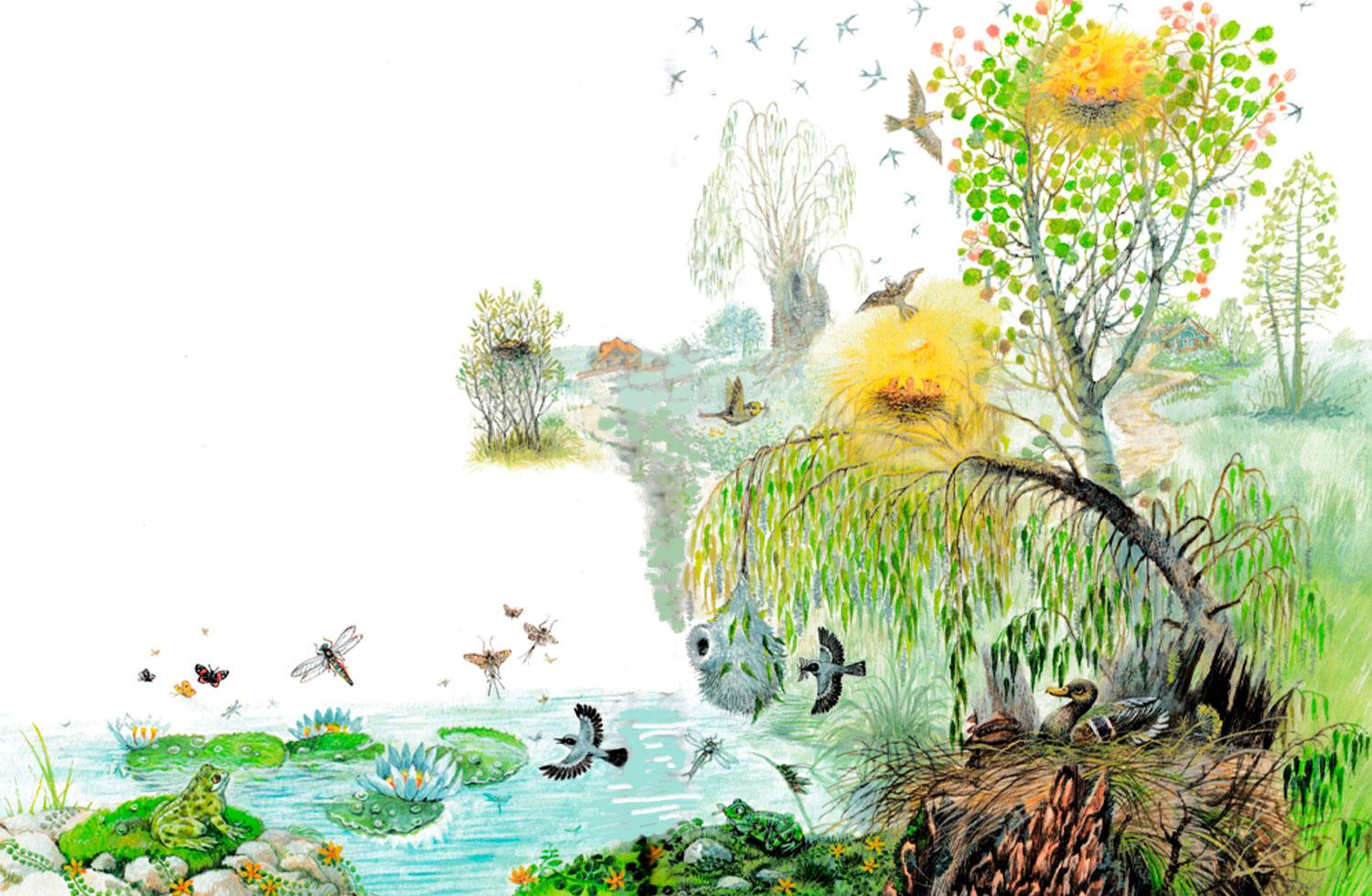 Лесные жители