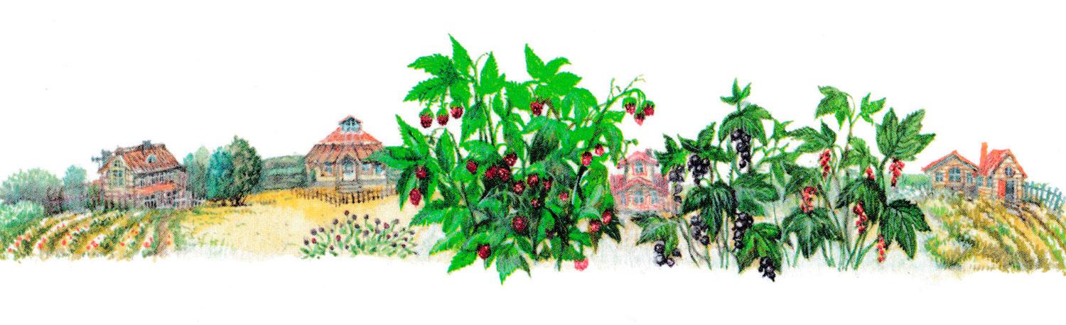 Погода в июле