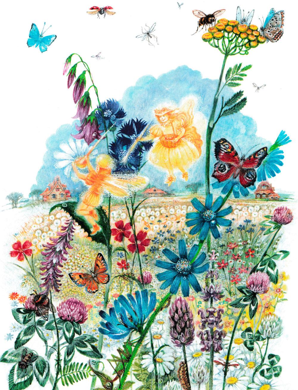 Зой и Зоя раскрашивают цветы и травы