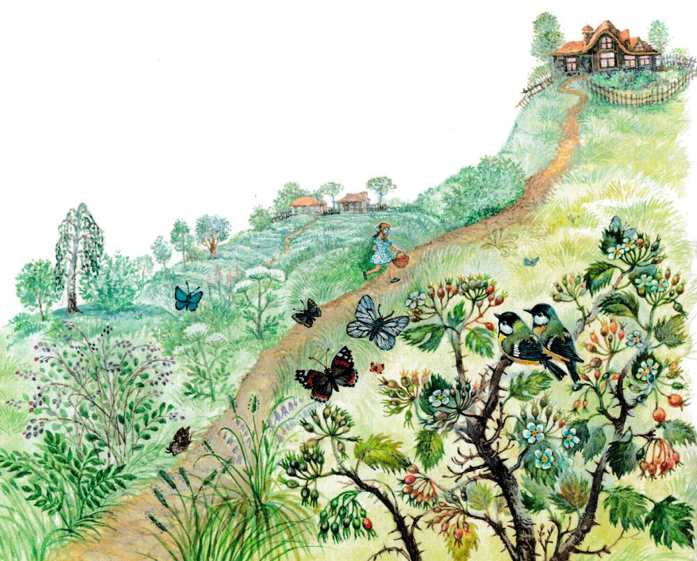 Тропинка к дому