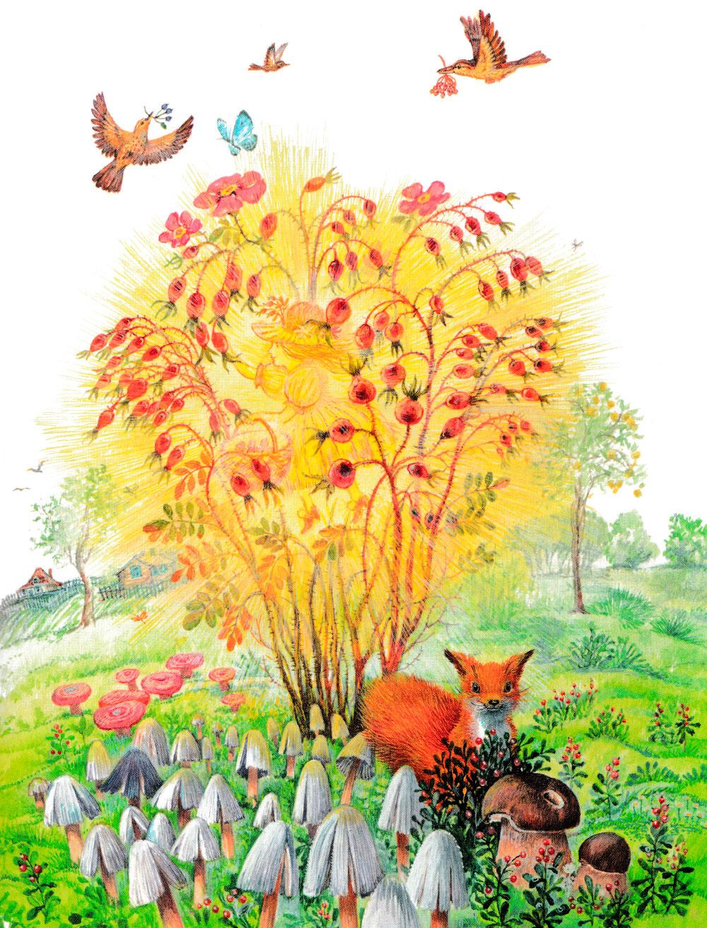 Зоя собирает ягоды и цветы