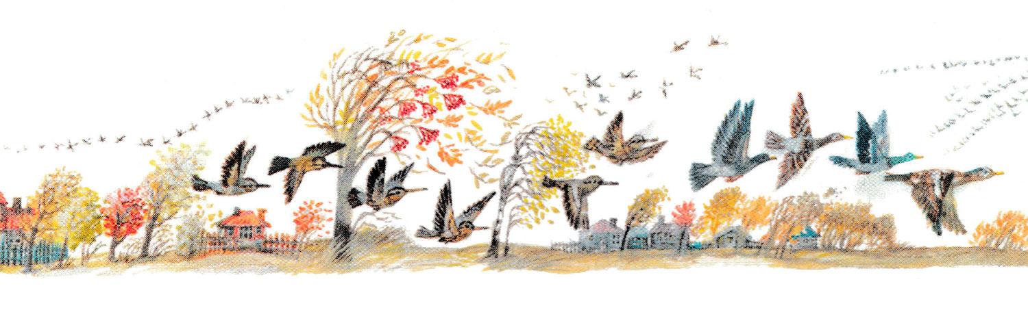 Птицы улетают на юг