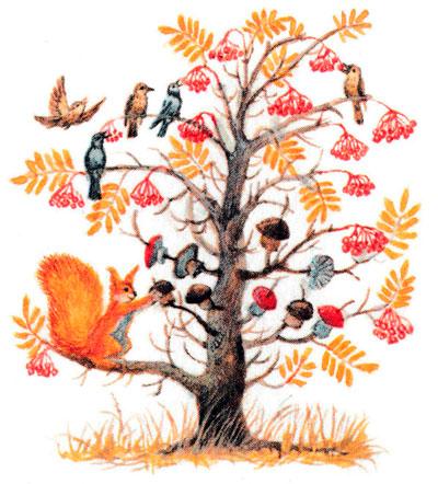 Белка сушит грибы на дереве